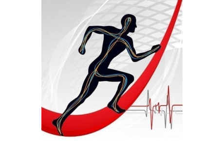 Préparation physique été 2019